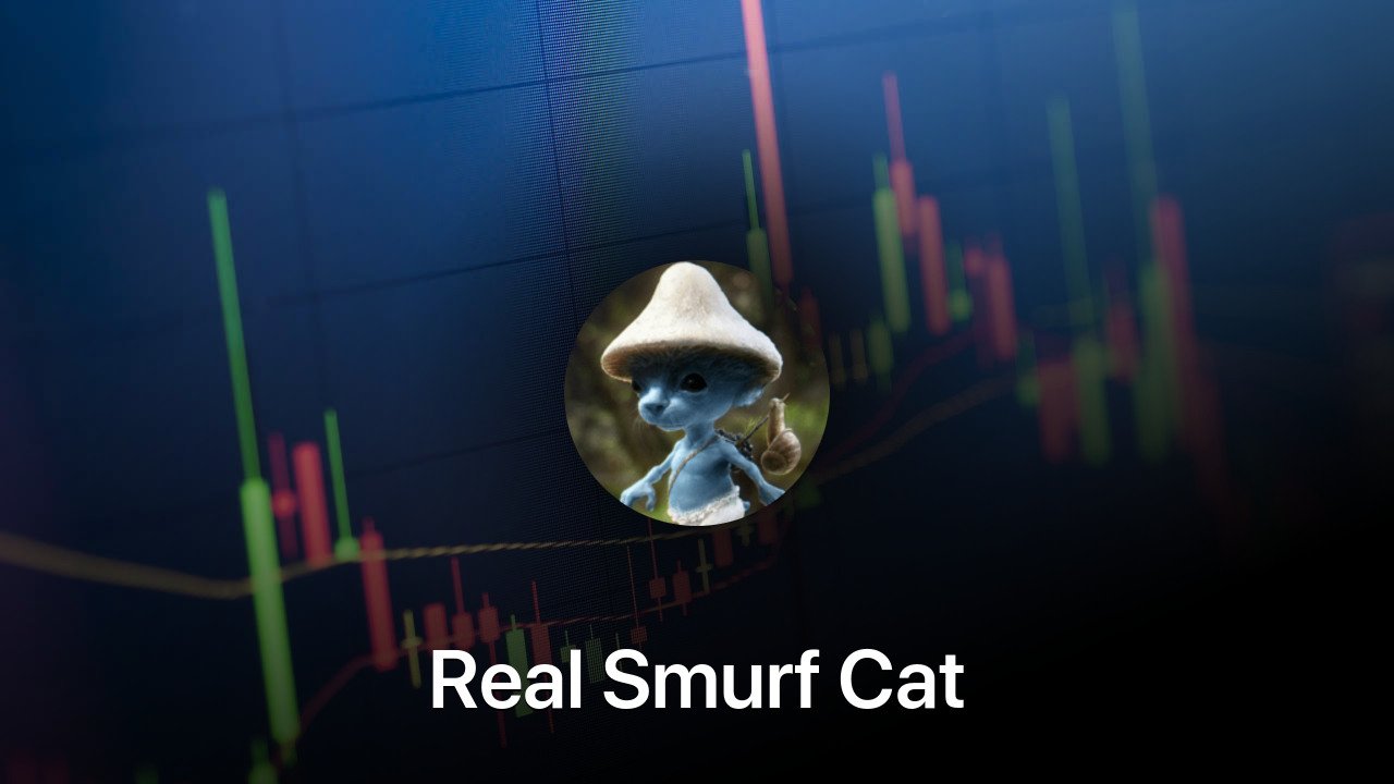 Where to buy Real Smurf Cat coin