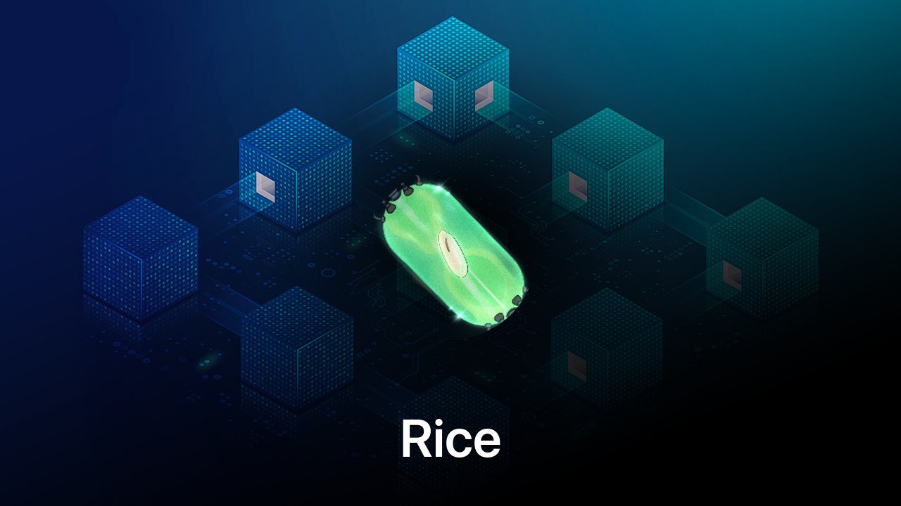 Where to buy Rice coin