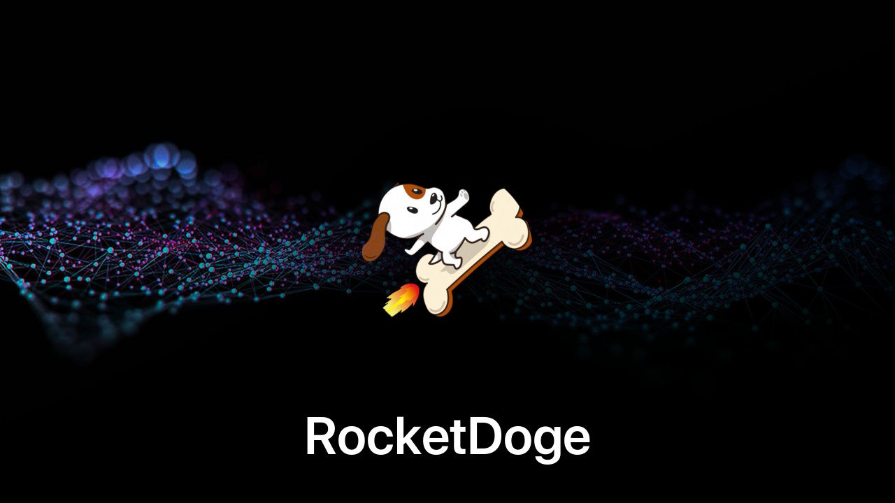 Where to buy RocketDoge coin