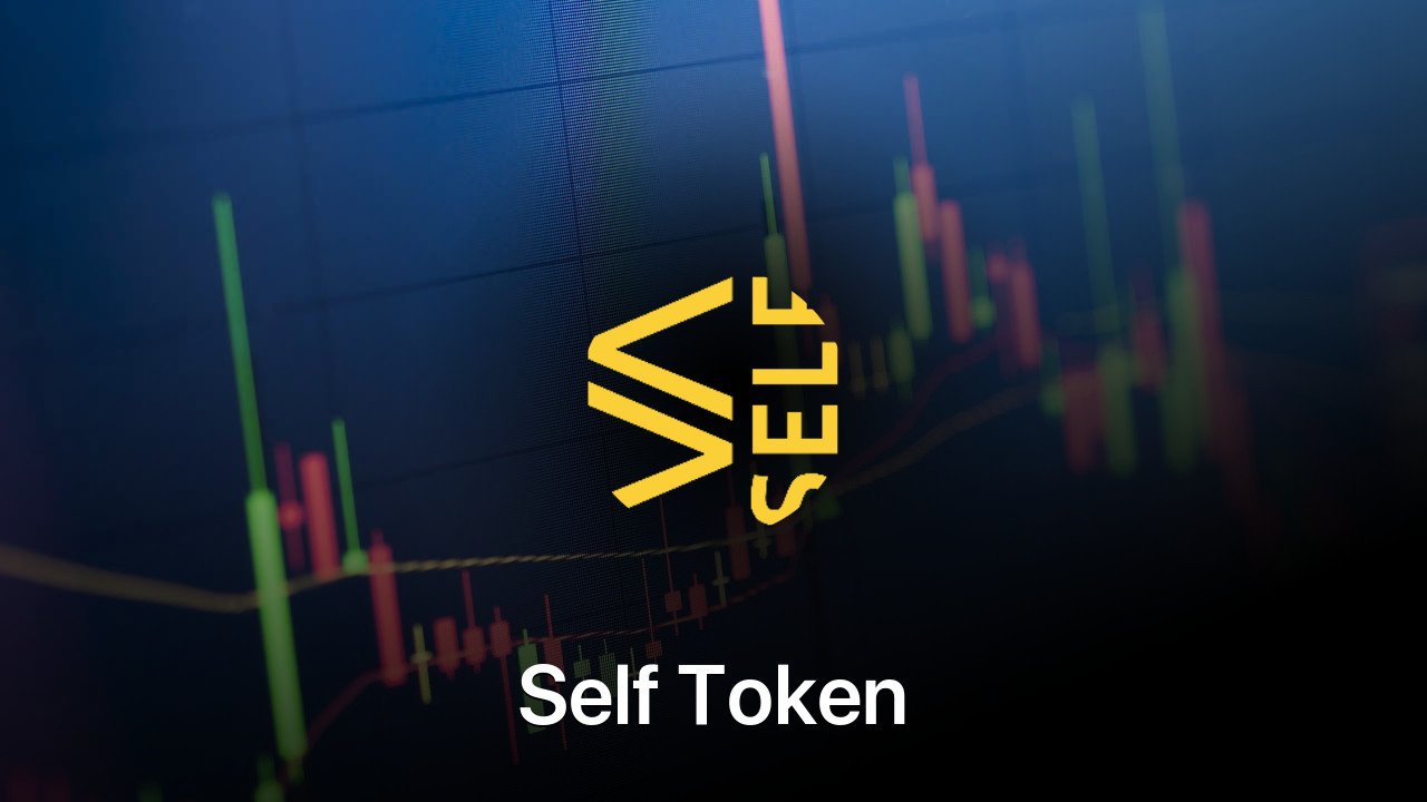 Where to buy Self Token coin