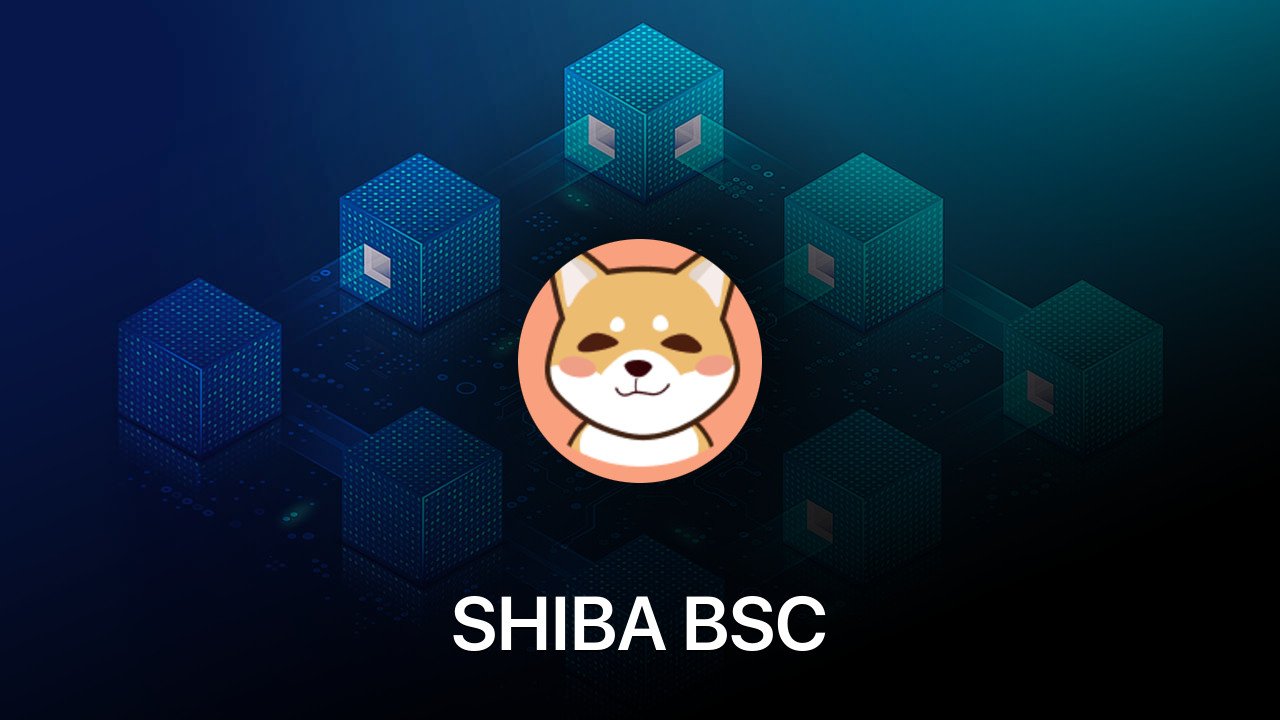 Where to buy SHIBA BSC coin