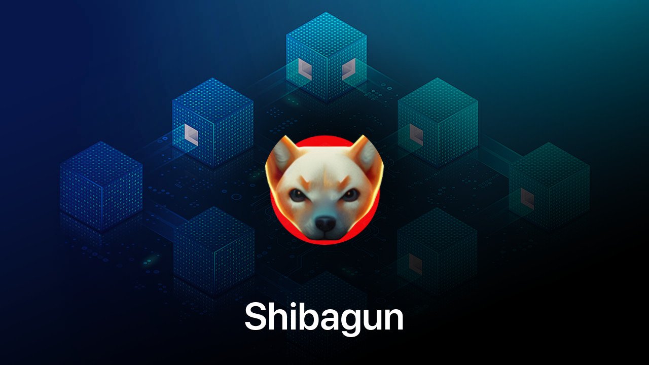 Where to buy Shibagun coin