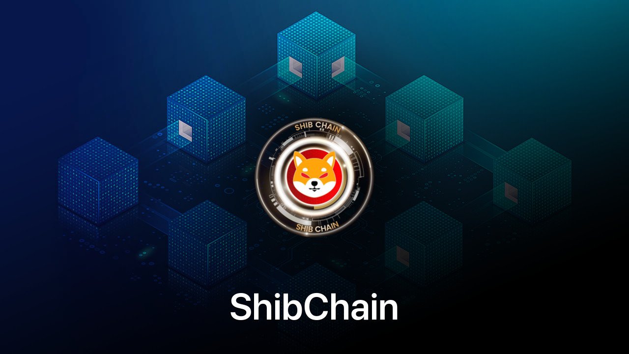 Where to buy ShibChain coin