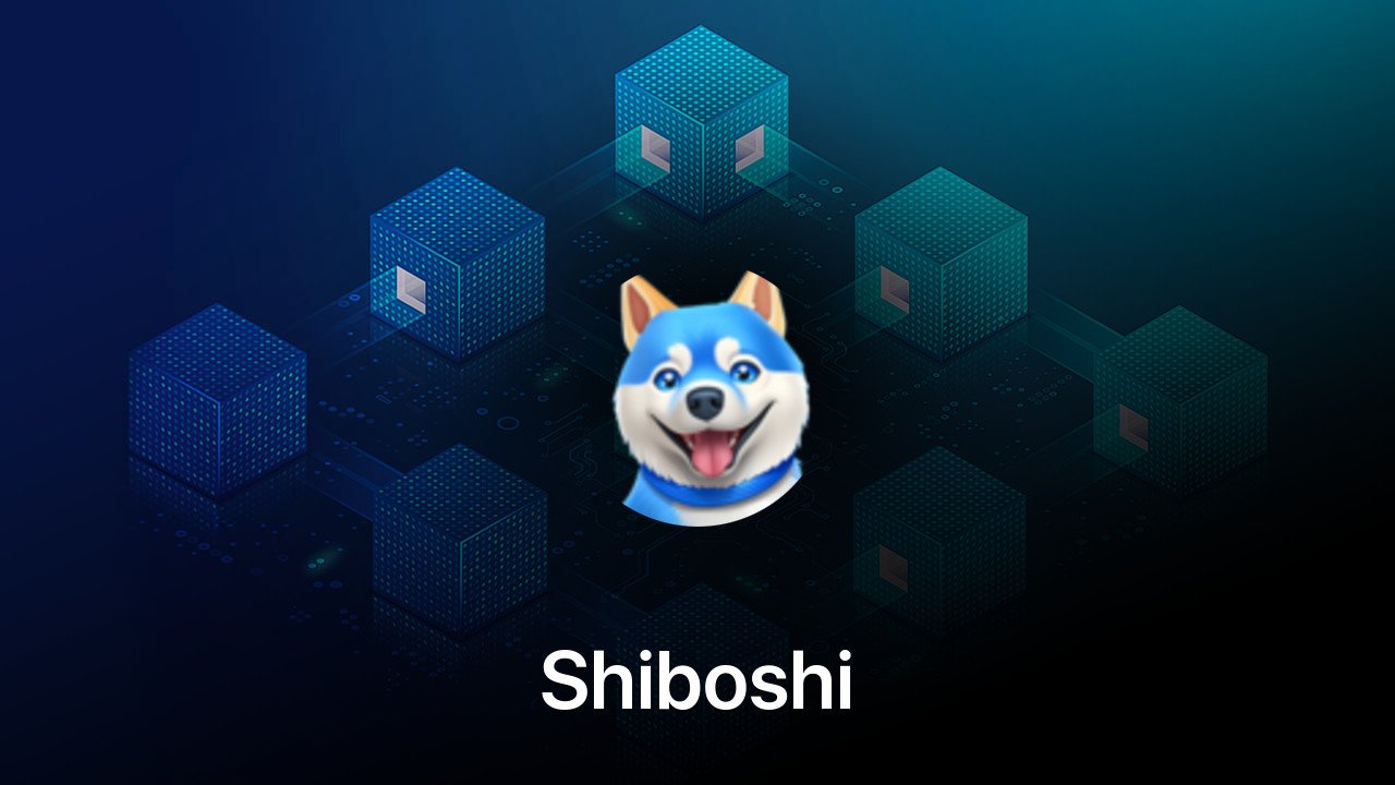 Where to buy Shiboshi coin