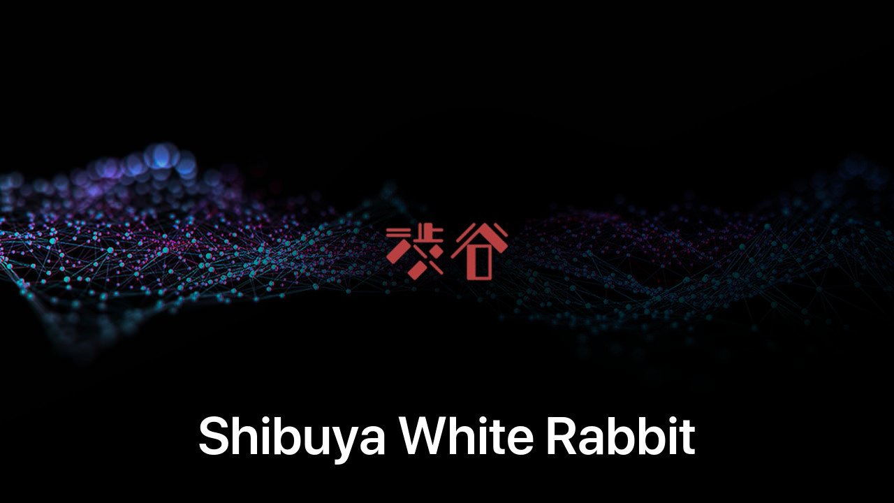 Where to buy Shibuya White Rabbit coin