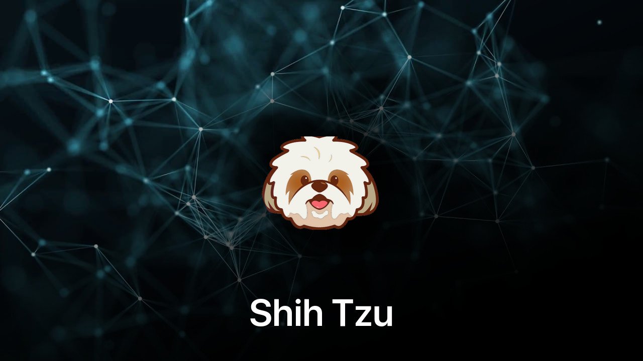 Where to buy Shih Tzu coin