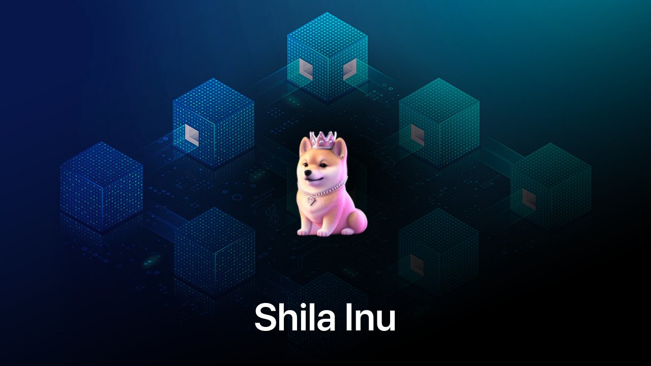 Where to buy Shila Inu coin