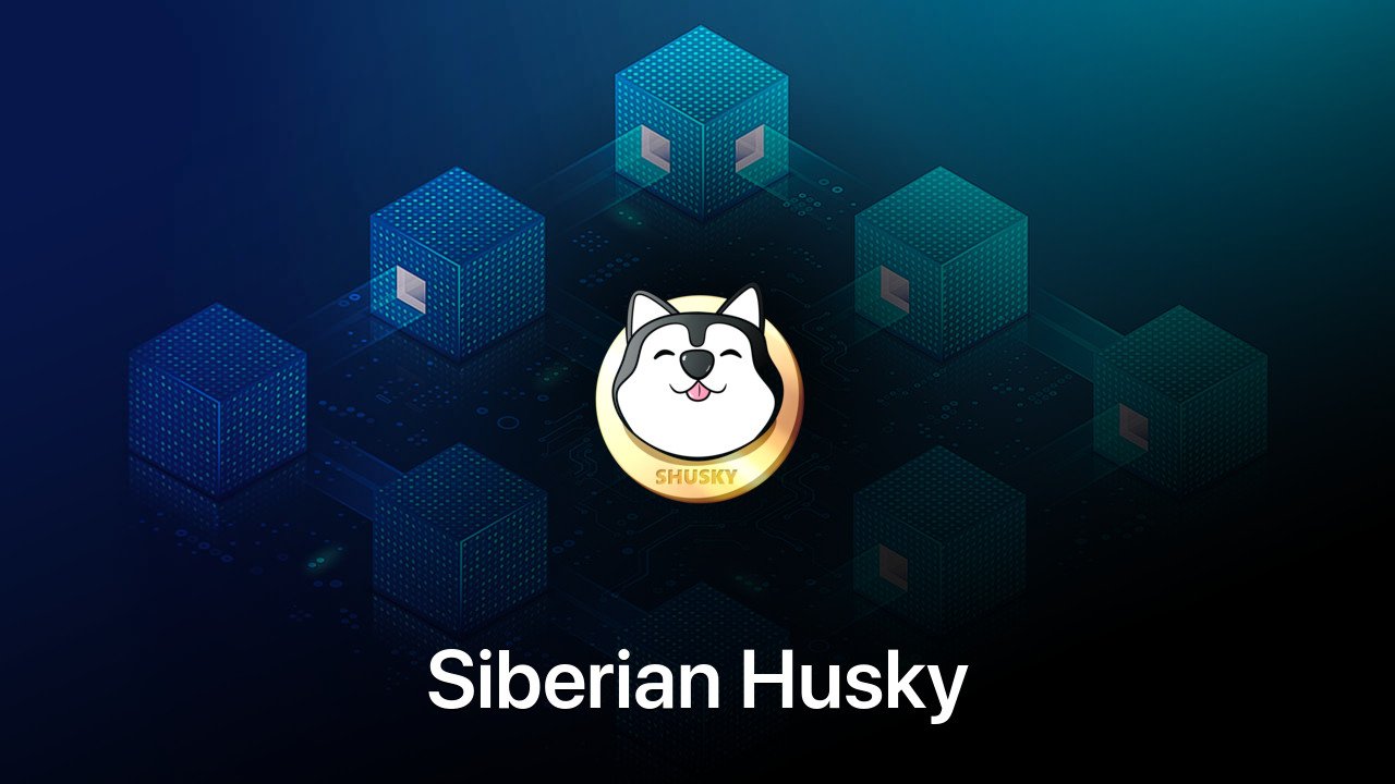 Where to buy Siberian Husky coin
