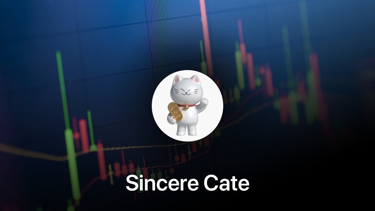 Where to buy Sincere Cate coin