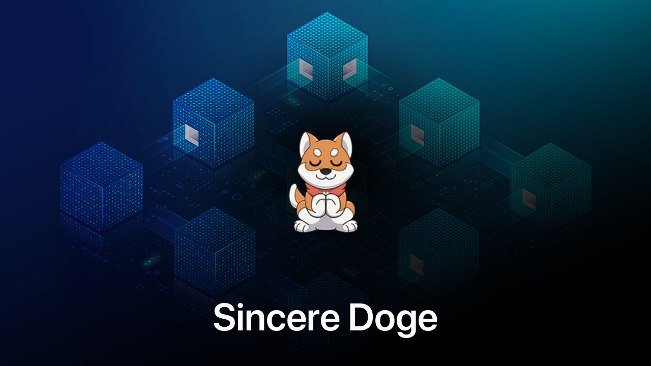 Where to buy Sincere Doge coin