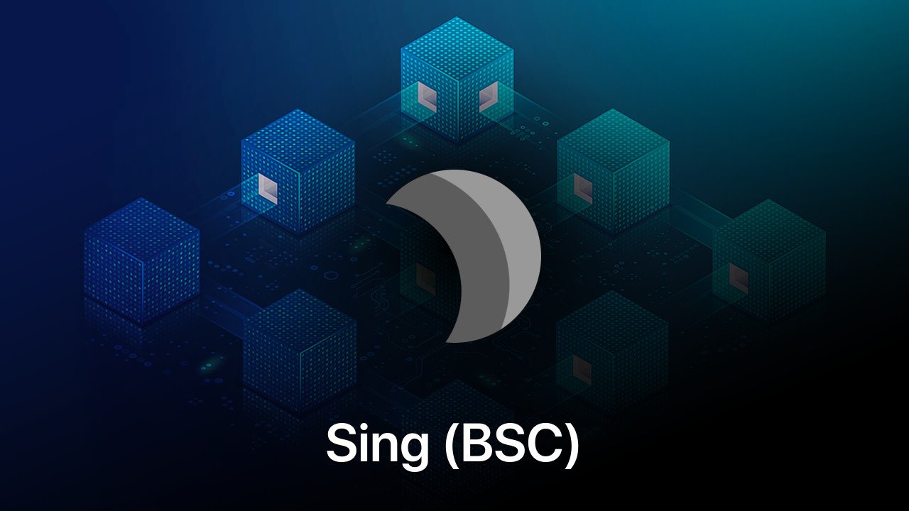 Where to buy Sing (BSC) coin