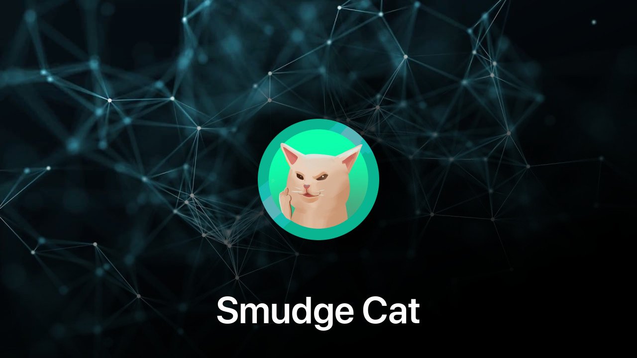 Where to buy Smudge Cat coin