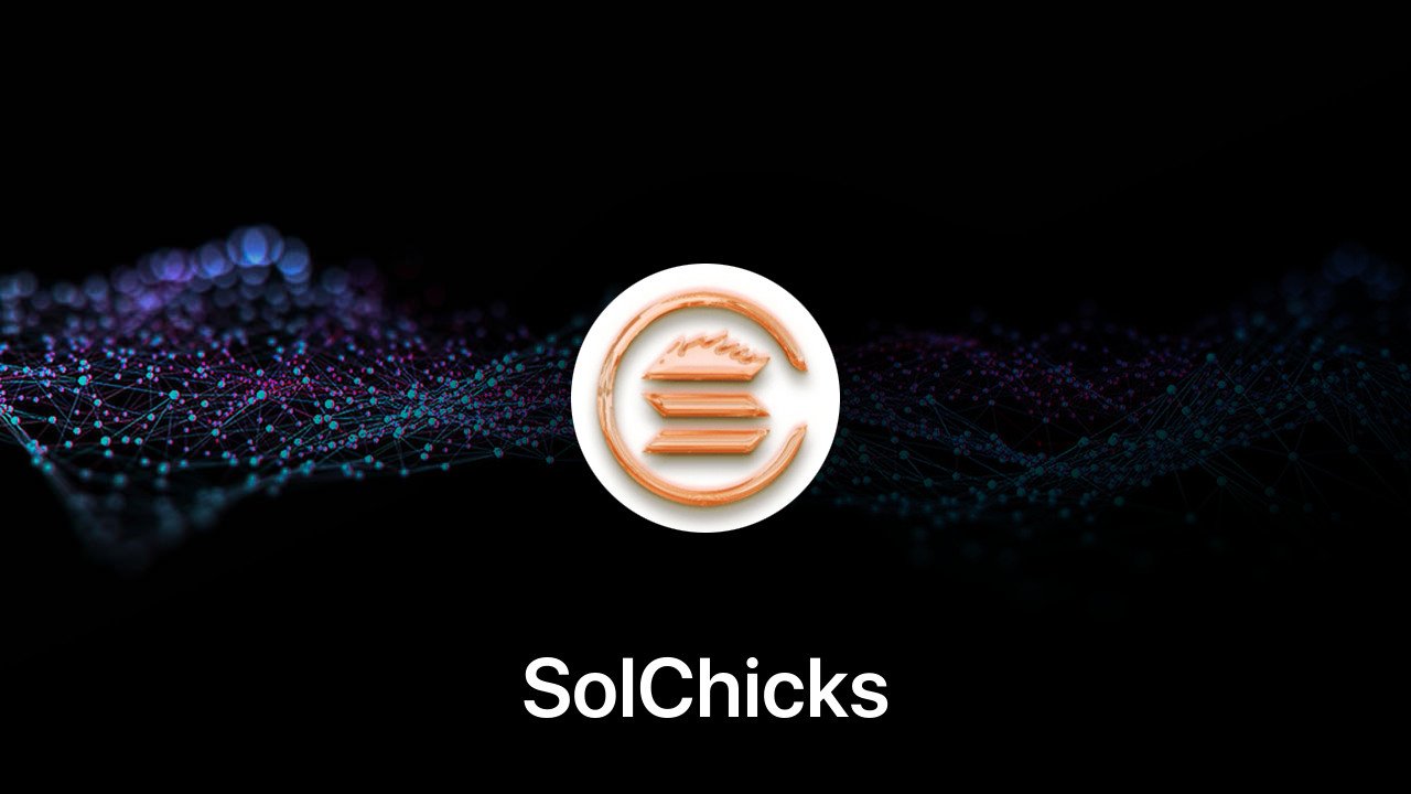 Where to buy SolChicks coin