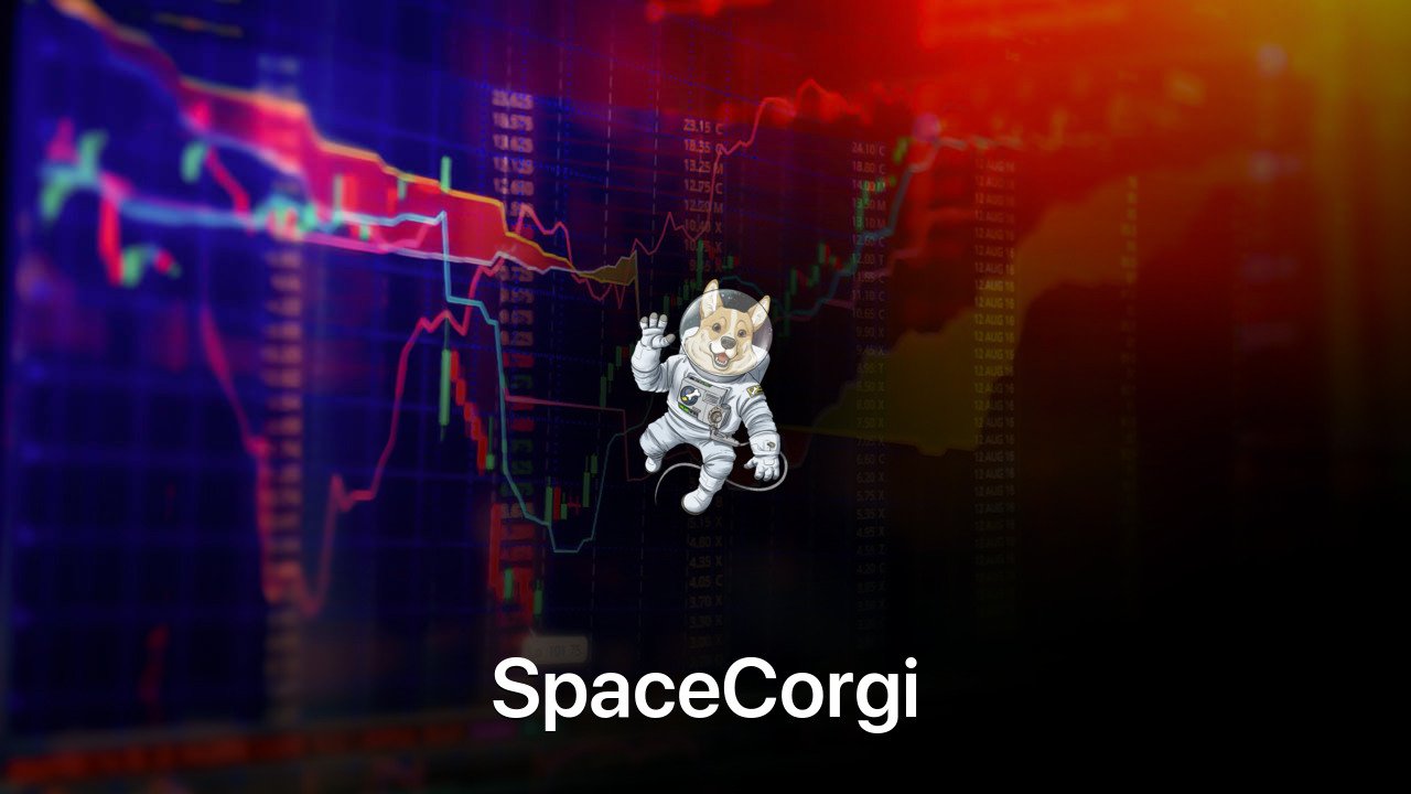 Where to buy SpaceCorgi coin