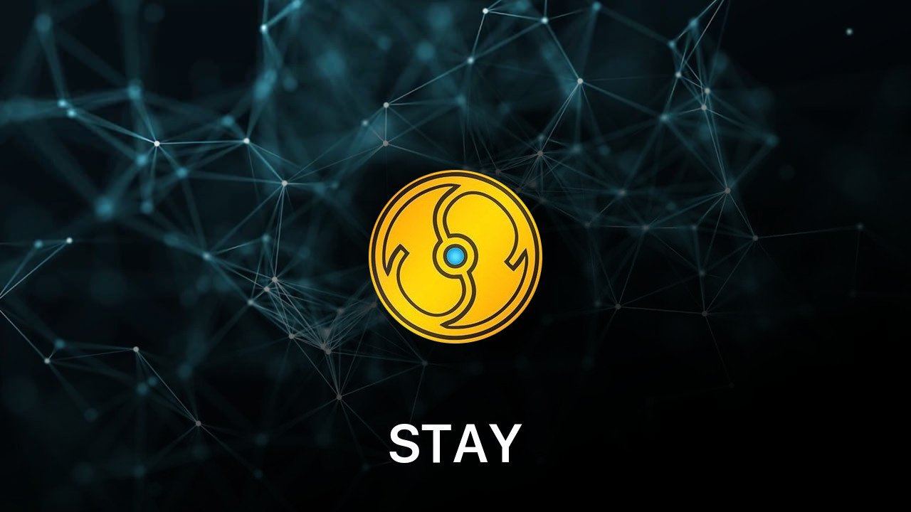 Where to buy STAY coin