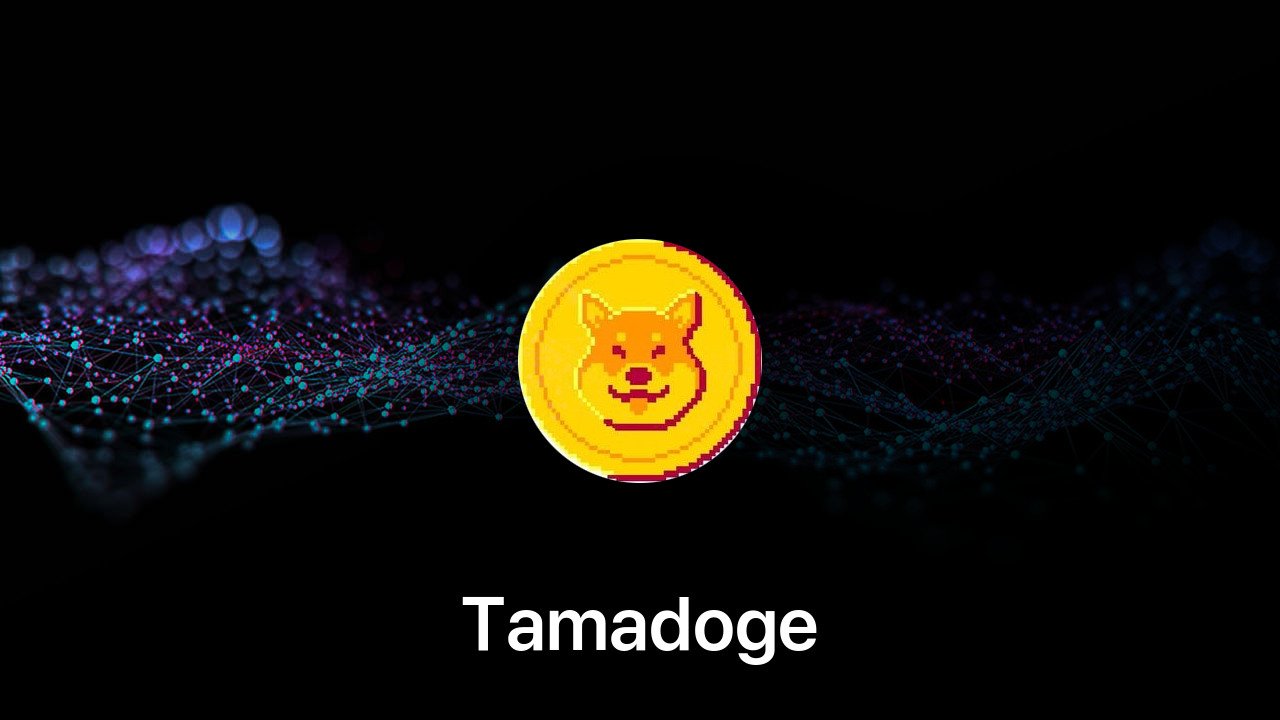 Where to buy Tamadoge coin