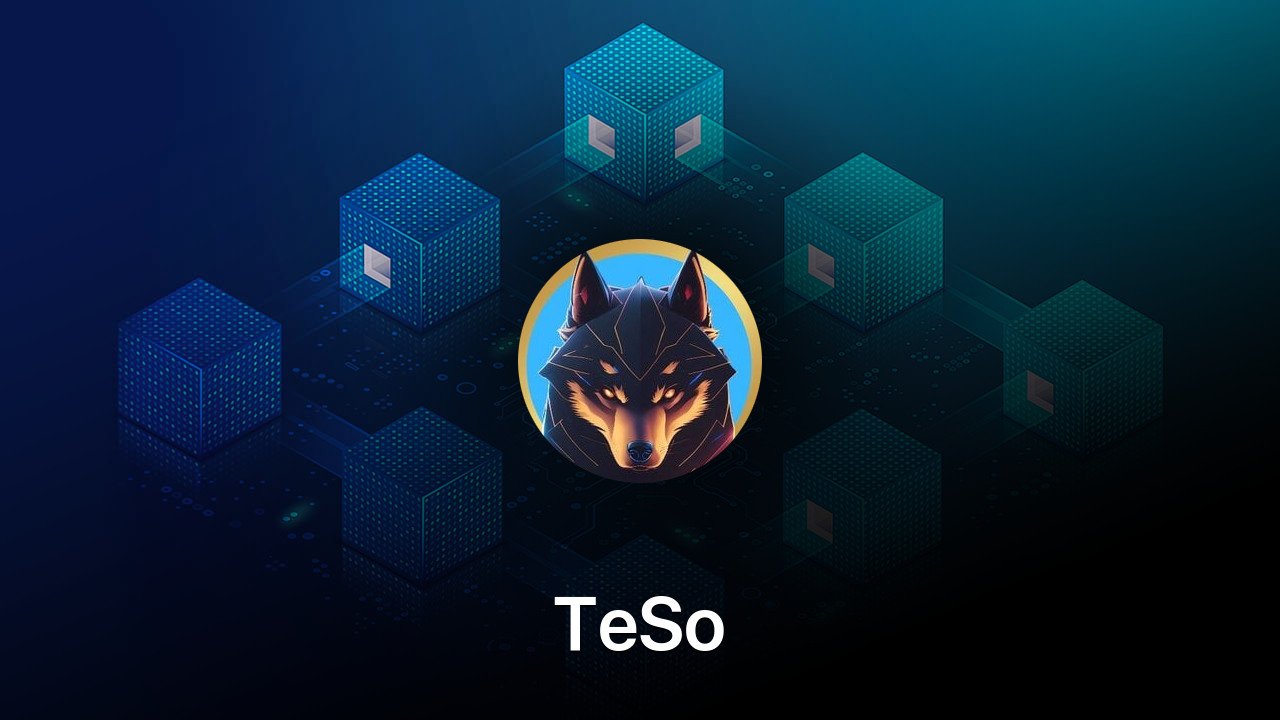 Where to buy TeSo coin