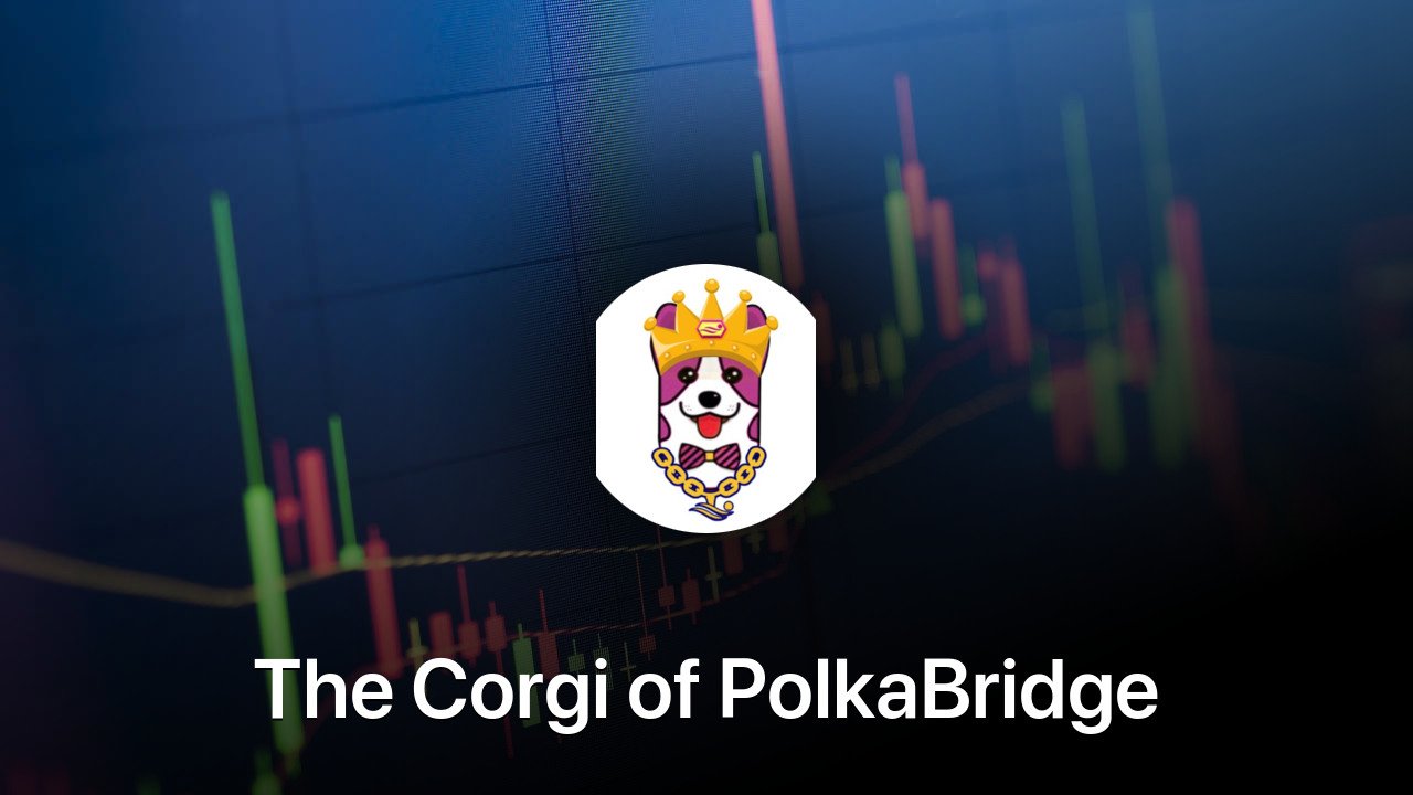 Where to buy The Corgi of PolkaBridge coin