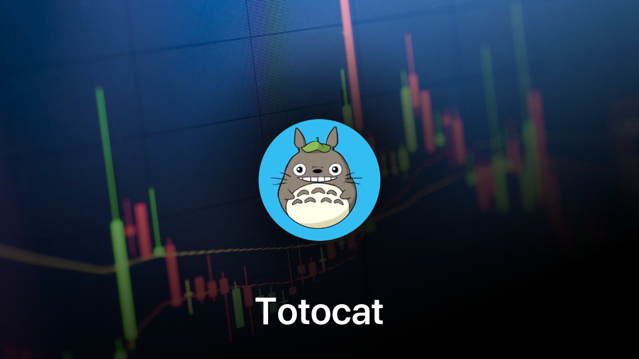 Where to buy Totocat coin