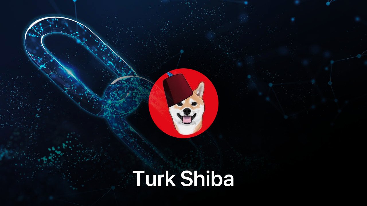 Where to buy Turk Shiba coin