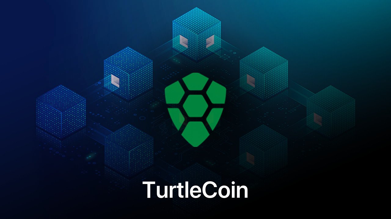 Where to buy TurtleCoin coin