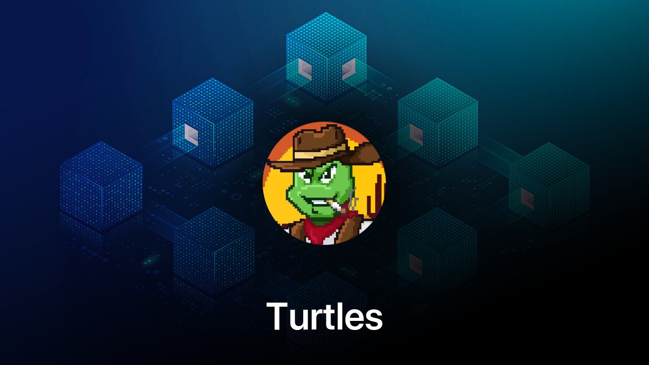 Where to buy Turtles coin