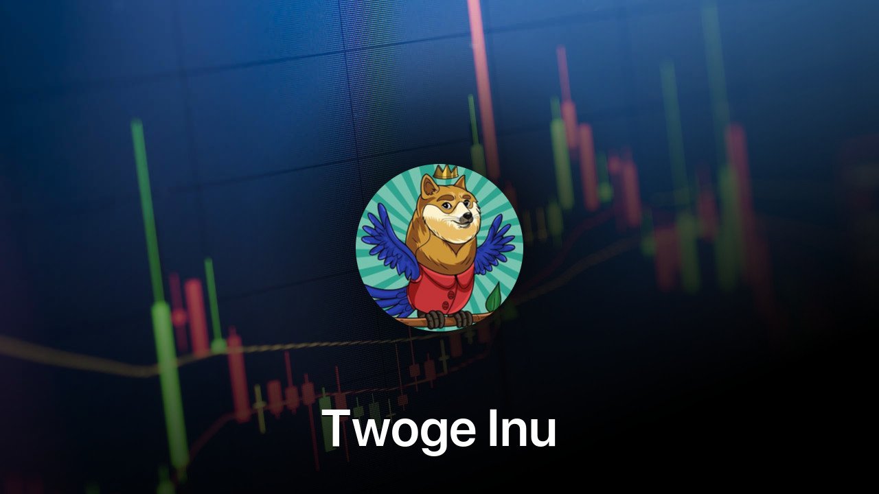 Where to buy Twoge Inu coin