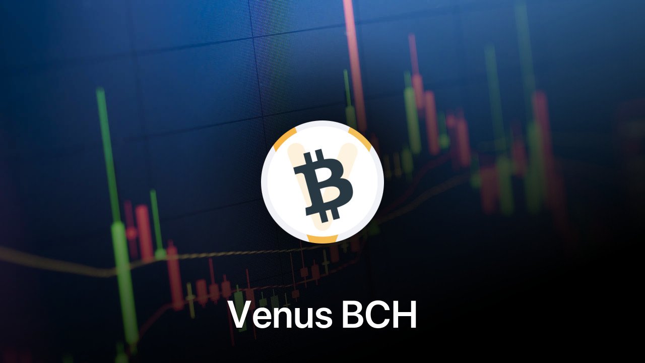 Where to buy Venus BCH coin