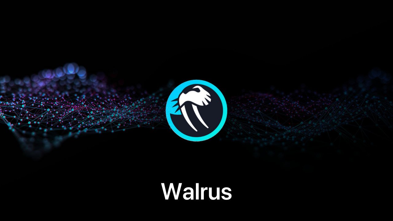 Where to buy Walrus coin