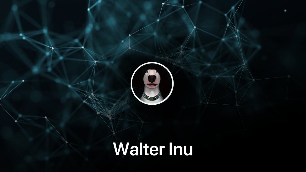 Where to buy Walter Inu coin