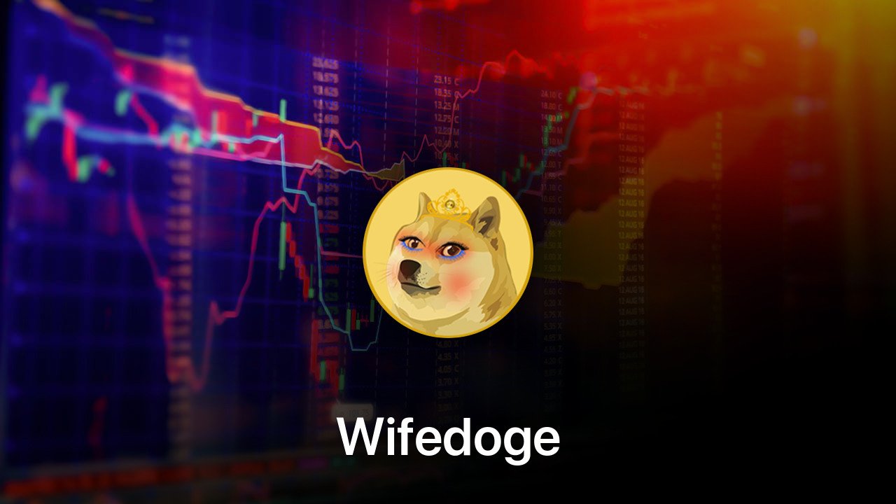 Where to buy Wifedoge coin