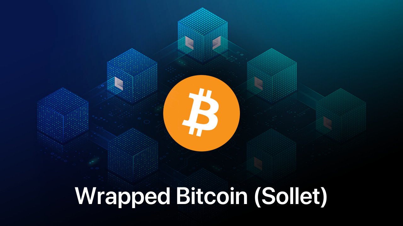 Where to buy Wrapped Bitcoin (Sollet) coin