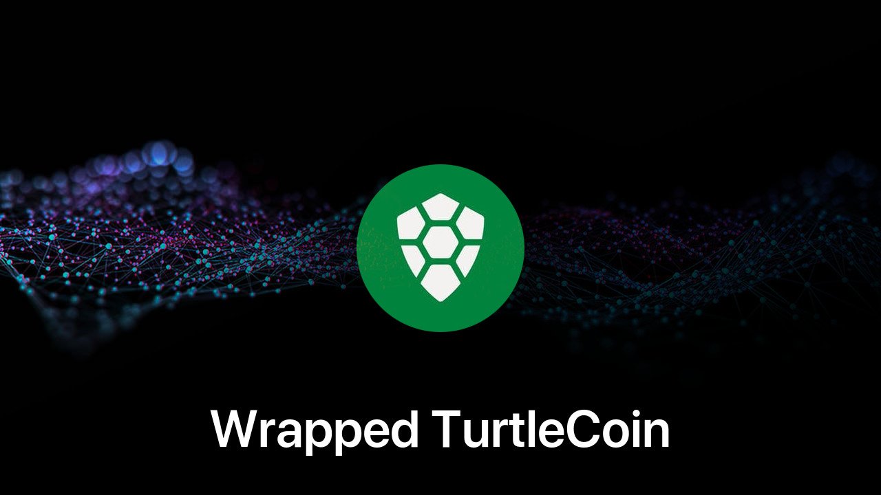 Where to buy Wrapped TurtleCoin coin