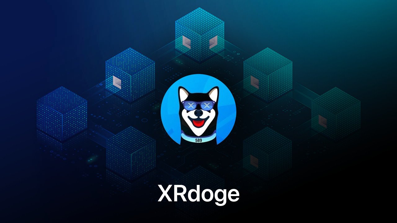 Where to buy XRdoge coin