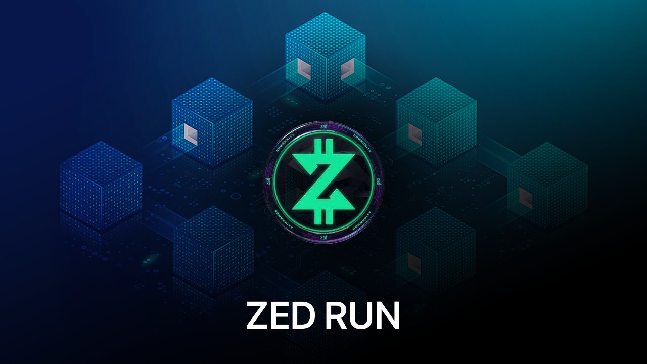 Where to buy ZED RUN coin
