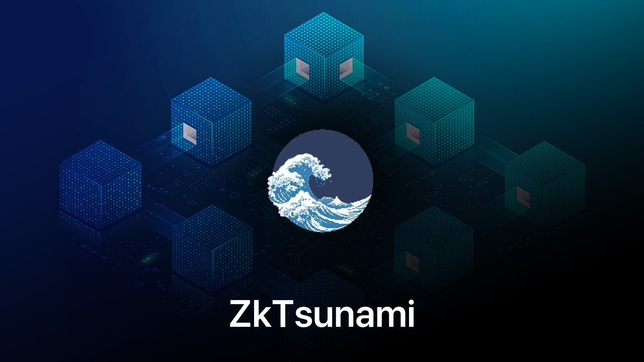 Where to buy ZkTsunami coin